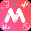 Mp3 Music Lyrics Player Offline Pro Lyrics Display