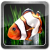 My 3d Fish Ii Logo.png