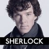 Sherlock The Network Android Logo.jpg