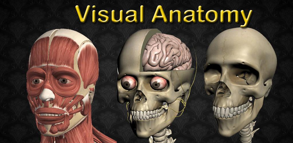 Visual Anatomy