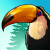 Birdstopia Logo.png