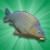 Carp Fishing Simulator Logo.png