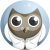 Night Owl Sleep Coach Logo