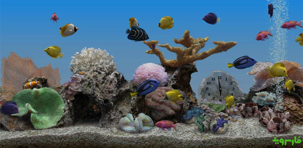 Marine Aquarium