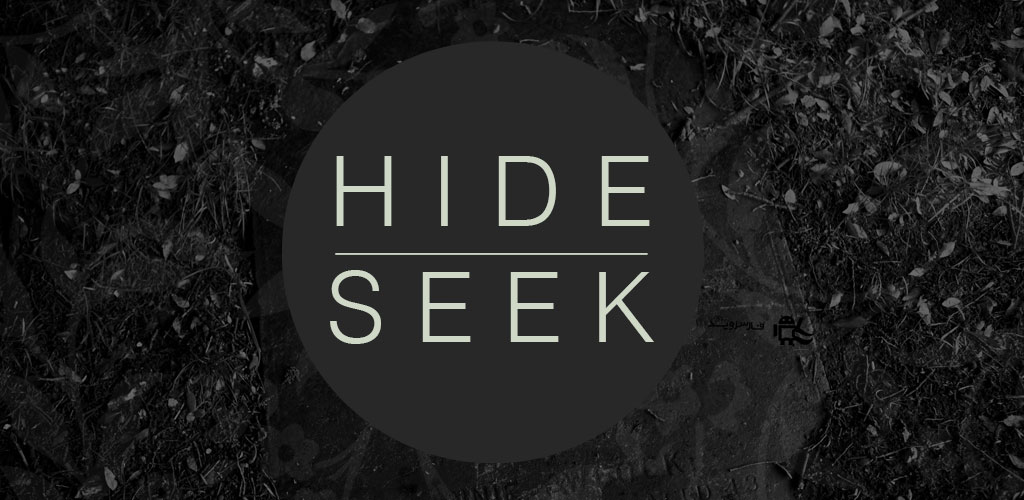 Hide and Seek