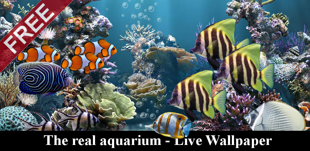 The real aquarium - Live Wallpaper