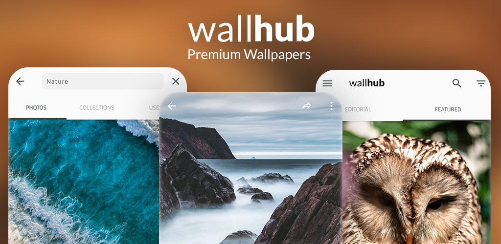 Wallhub