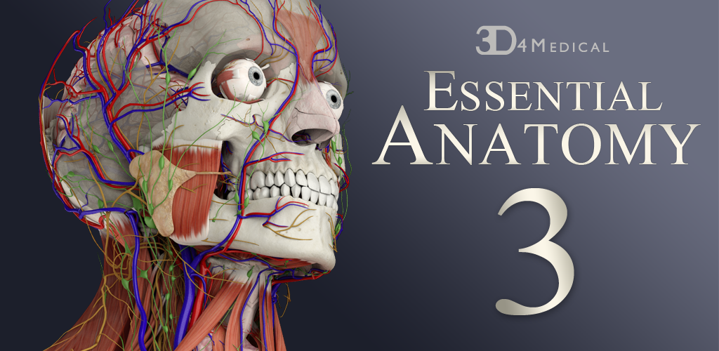 Essential Anatomy 3