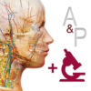 anatomy and physiology android logo