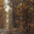 beautiful autumn wallpaper logo