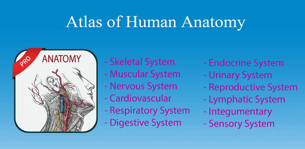 Gray’s Atlas of Anatomy Pro (No Ads)