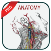 grays atlas of anatomy pro logo