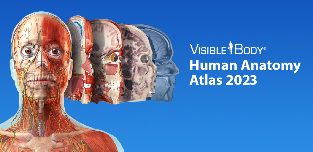 Human Anatomy Atlas 2023