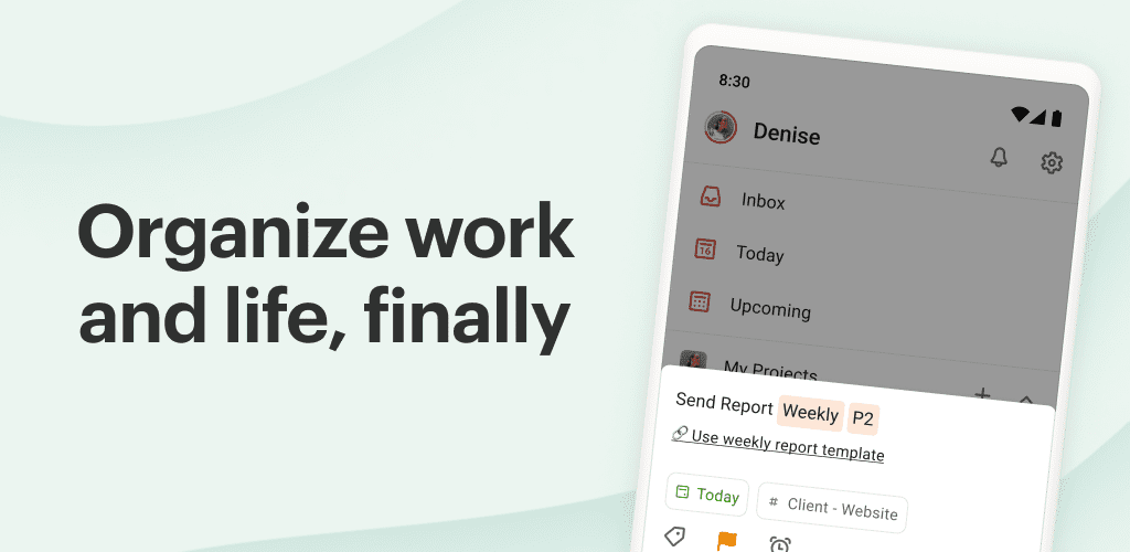 Todoist To-Do List, Tasks & Reminders Premium